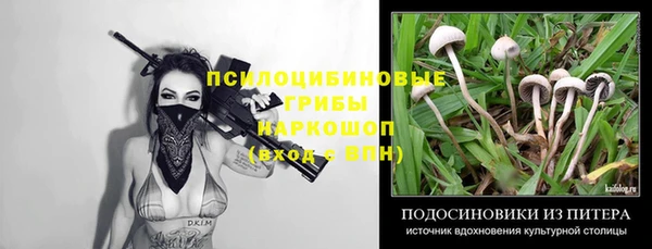 гашик Верхнеуральск
