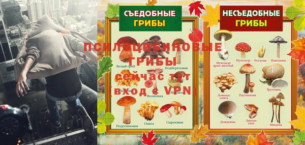 молекула духа Верхний Тагил