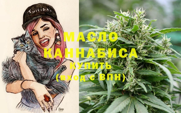 молекула духа Верхний Тагил