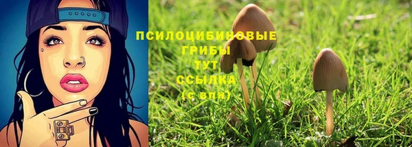 jwh Бородино