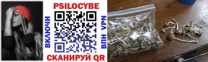 мега как войти  Ростов  Галлюциногенные грибы прущие грибы 